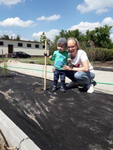 Brak opisu obrazka