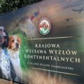 Na zdjęciu duży baner, na którym widnieje grafika wyżłów wraz z napisem: "Krajowa wystawa wyżłów kontynentalnych".