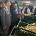 Na fotografii wicemarszałek, wójt i producent szparagów, który pokazuje białe warzywo.