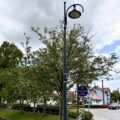 Na zdjęciu widoczna nowa lampa w Przemęcie przy stawku.