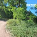 Na fotografii „PRZED” (teren przy drodze polnej) uchwycono przestrzeń przed uporządkowaniem – bujna, niekontrolowana roślinność znacząco ograniczała widoczność.
