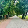 Na fotografii widoczna jest nowo wybudowana droga, otoczona drzewami. Jej główną, szarą część wykonano z kostki ażurowej, a obok niej przebiega czerwony pas z kostki brukowej, przeznaczony dla pieszych i rowerzystów.
