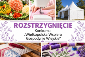 Brak opisu obrazka
